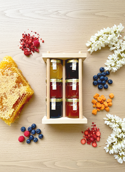 Honig Geschenkset 6×40g – Früchte-Honig mit Erdbeere, Blaubeere, Brombeere, Apfel, Himbeere & Spirulina – Handgemachtes Holzgestell – Feinkost Geschenk zu Weihnachten